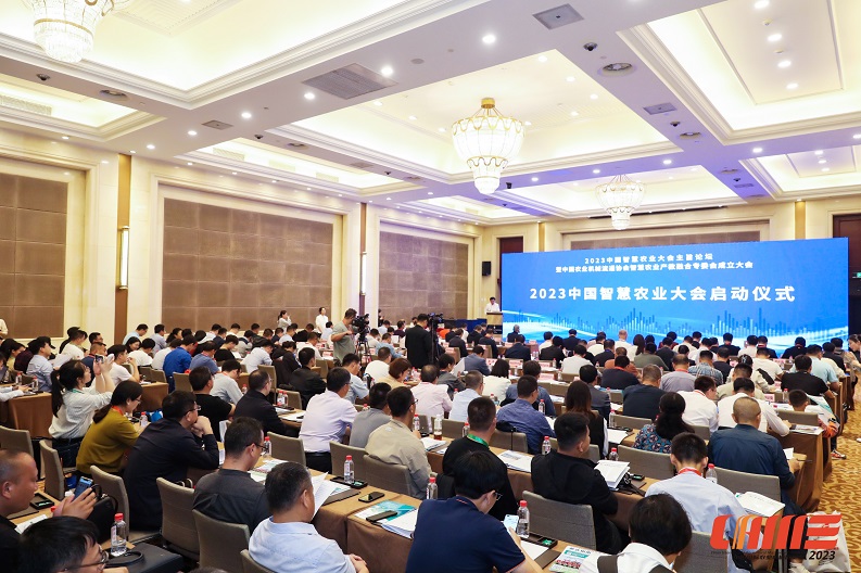 MG不朽情缘(中国区)官方网站