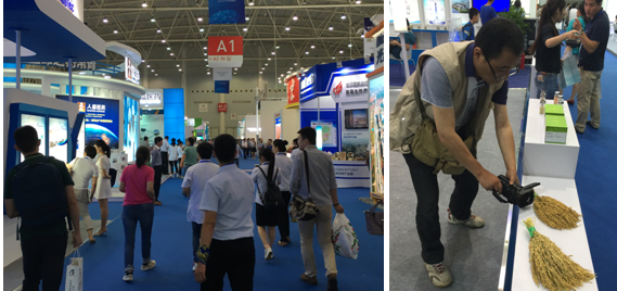 MG不朽情缘(中国区)官方网站