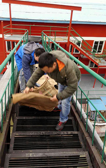 MG不朽情缘(中国区)官方网站