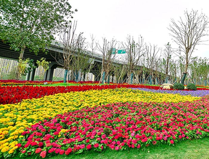 MG不朽情缘(中国区)官方网站